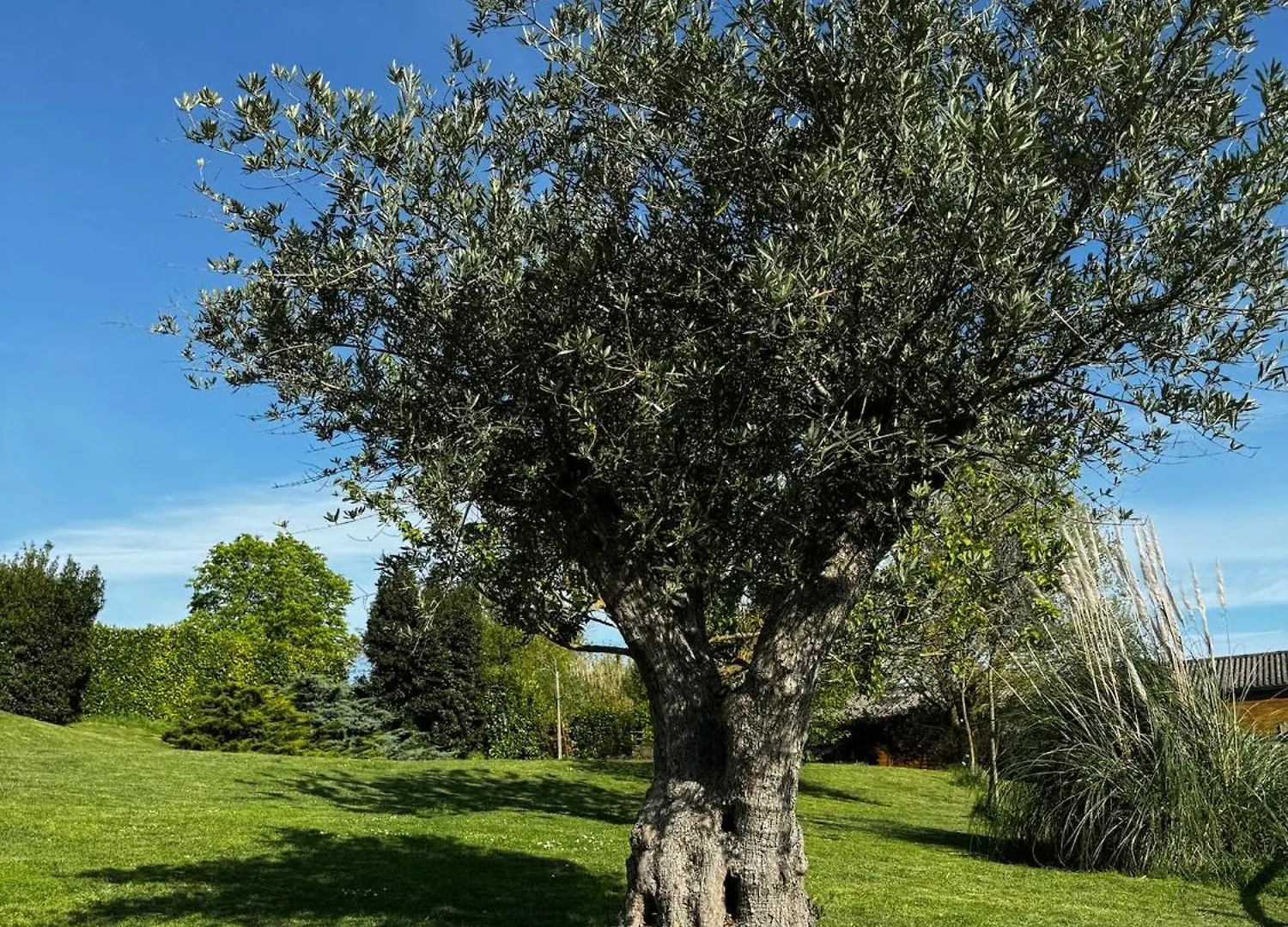 Holiday home Domaine Horizon Villa Toulouse France
